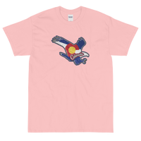 State Flag of Colorado