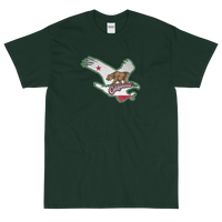 State Flag of California