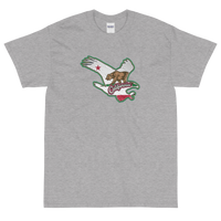 State Flag of California