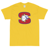 Springfield Falcons (XL logo)