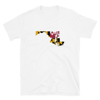 State Flag of Maryland