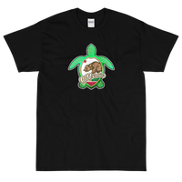 State Flag of California