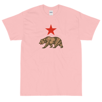 State Flag of California