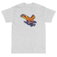 State Flag of Arizona