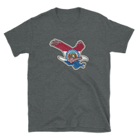 State Flag of Missouri