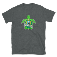 State Flag of Washington