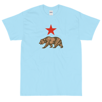 State Flag of California