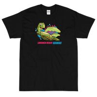 Laniakea Beach, Hawaii