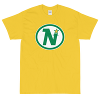 Minnesota North Stars