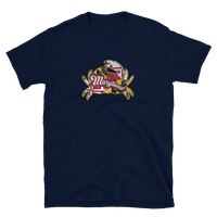 State Flag of Maryland