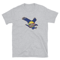 State Flag of Montana