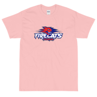 Florida Firecats
