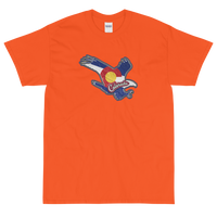 State Flag of Colorado