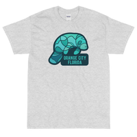 Orange City, Florida