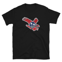 State Flag of Tennessee