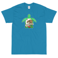 State Flag of California