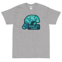 Orange City, Florida