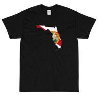 State Flag of Florida