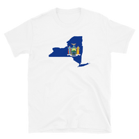 State Flag of New York