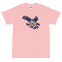 State Flag of Kansas