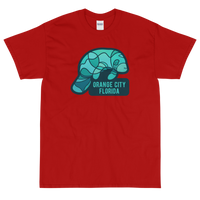 Orange City, Florida