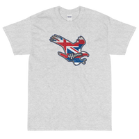 State Flag of Hawaii