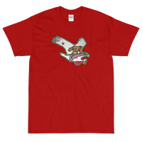 State Flag of California