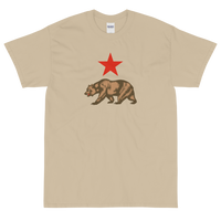 State Flag of California