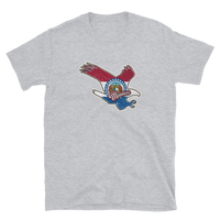 State Flag of Missouri