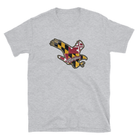 State Flag of Maryland