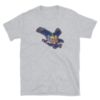 State Flag of New York