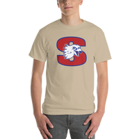 Springfield Falcons (XL logo)