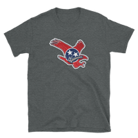 State Flag of Tennessee