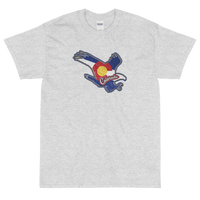 State Flag of Colorado