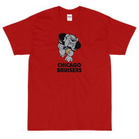 Chicago Bruisers