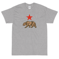 State Flag of California