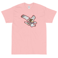 State Flag of Illinois