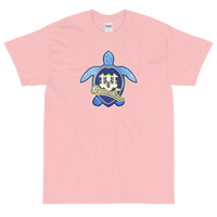 State Flag of Connecticut