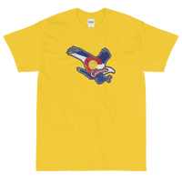 State Flag of Colorado