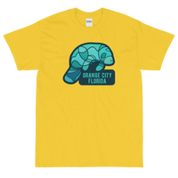 Orange City, Florida