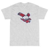 State Flag of Arkansas