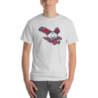 State Flag of Arkansas