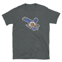 State Flag of Minnesota