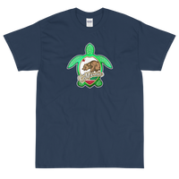 State Flag of California