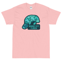 Orange City, Florida