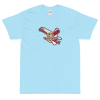 State Flag of Florida