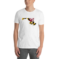 State Flag of Maryland