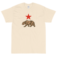 State Flag of California