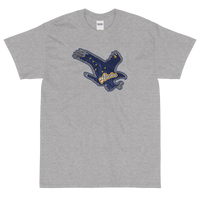 State Flag of Alaska