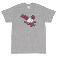 State Flag of Arkansas